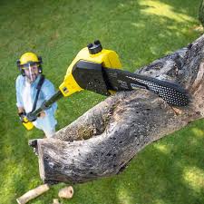 Best Lawn Maintenance Plans  in Mount Ivy, NY